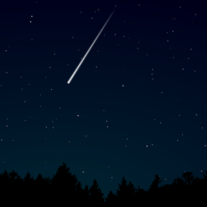 小少妇BBBBBBBBB野外
