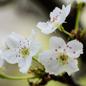 小少妇BBBBBBBBB野外
