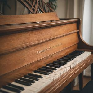 小少妇BBBBBBBBB野外
